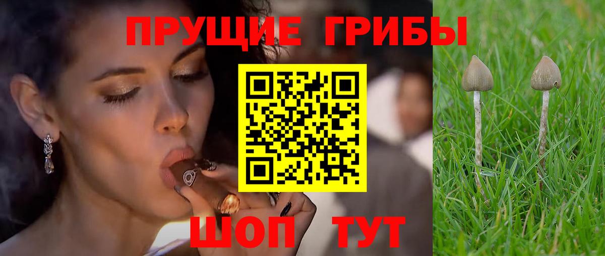 Псилоцибиновые грибы MAGIC MUSHROOMS  Вход с VPN  Кудымкар  Псилоцибиновые грибы MAGIC MUSHROOMS 